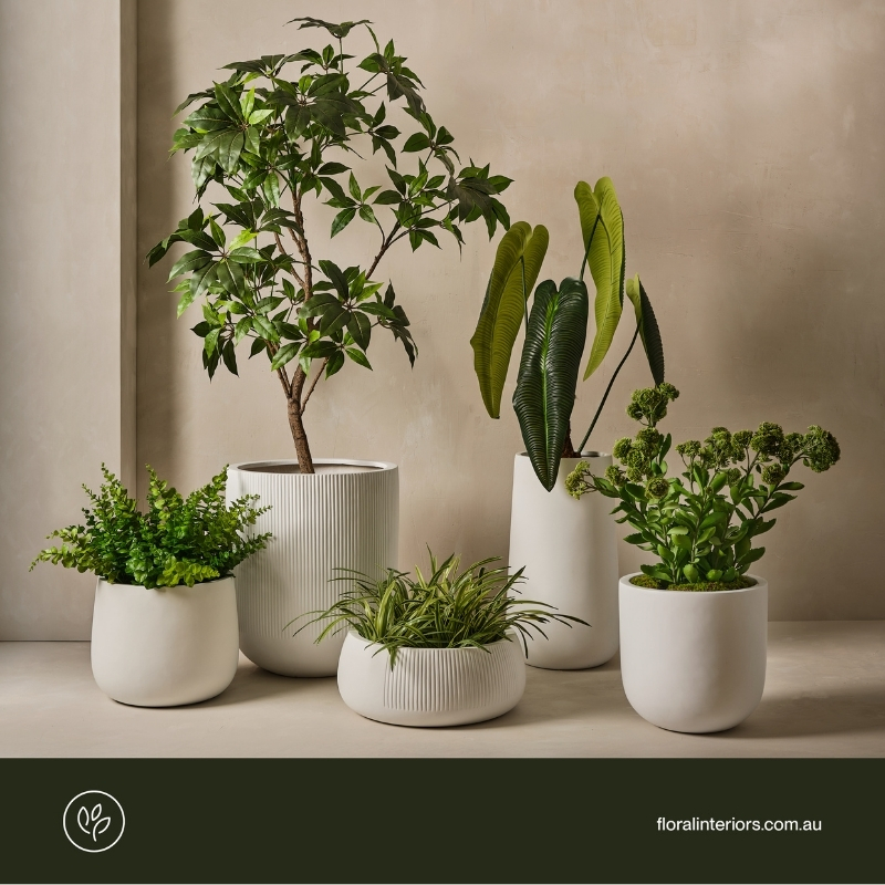 Melbourne Reed Gift Fair Aug 2025